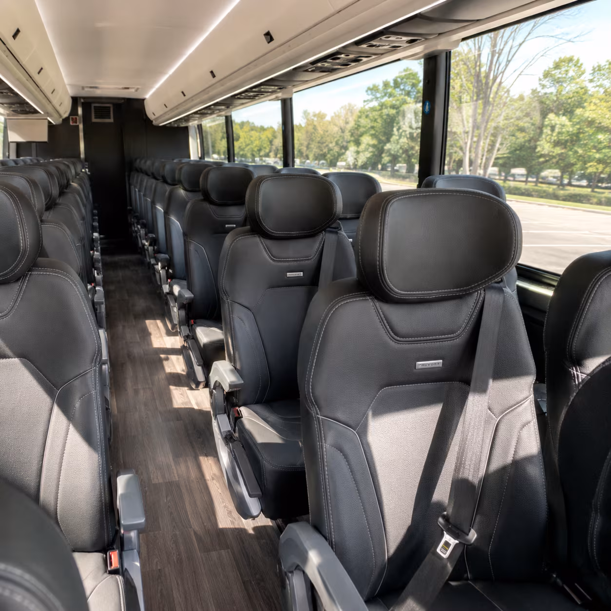 cedar park 56 passenger charter bus interior