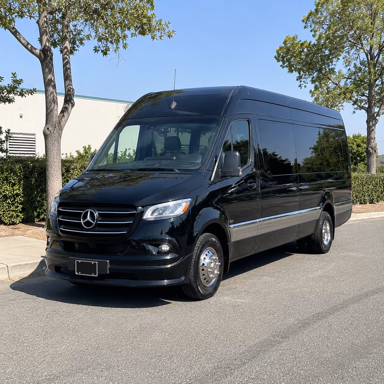 sprinter vans and minibuses for executive transportation in cedar park